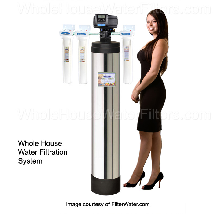 Eagle 2000A Whole House Water Filter,Whole house filter system